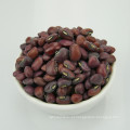 HPS Dark Red cowpeas (GF1)